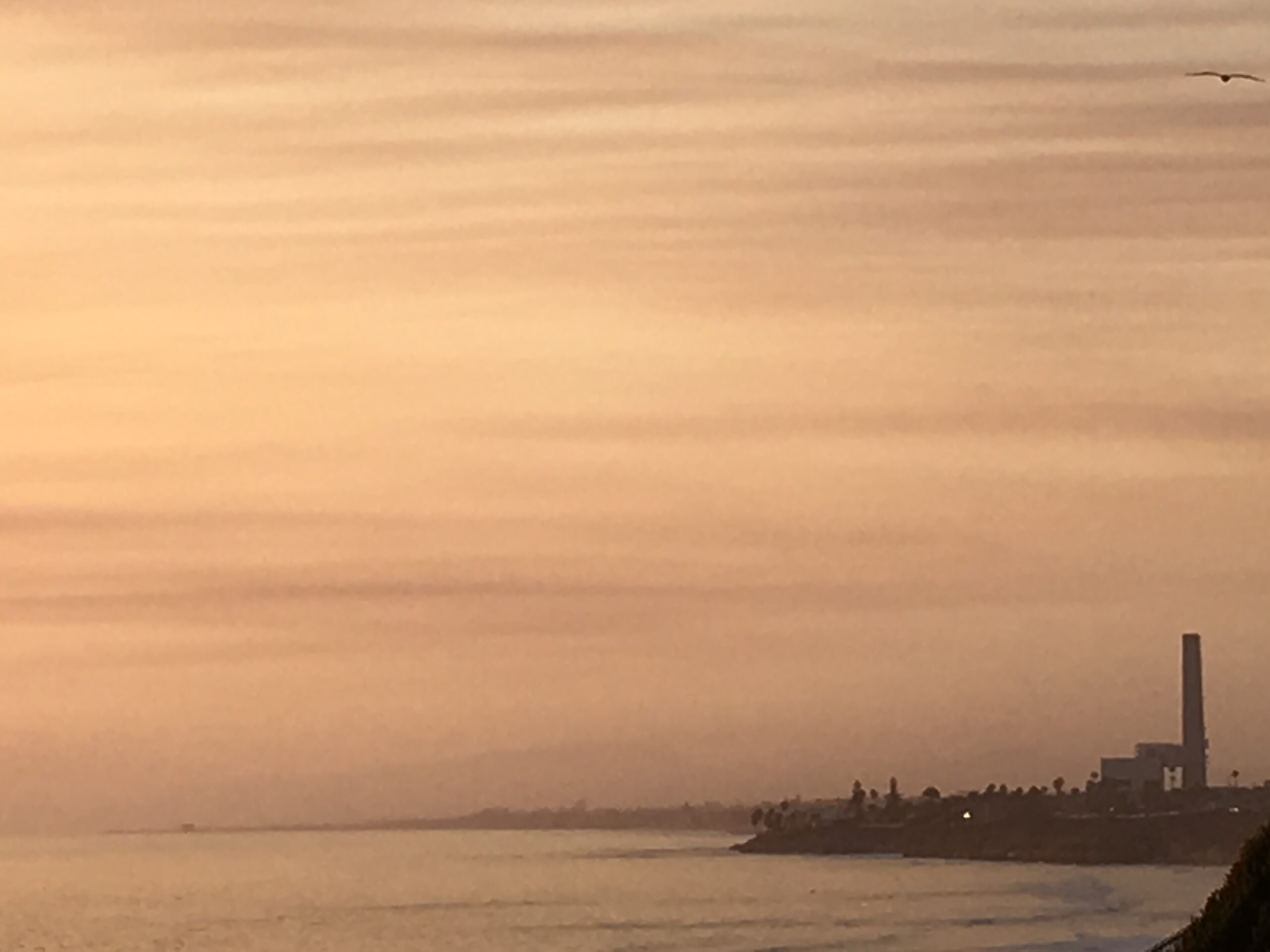 Carlsbad Board Riders